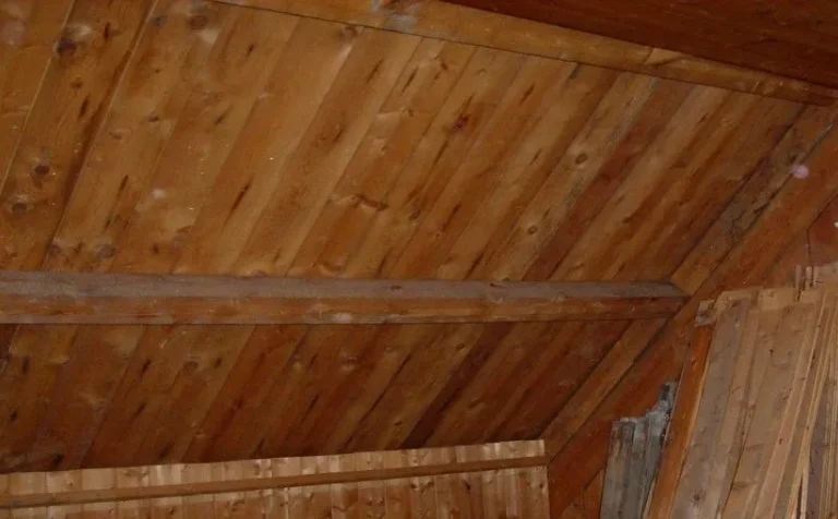 Does Your Attic Add No Value? Modern Attic Renovation Ideas Convert Emptiness Into Valuable Areas