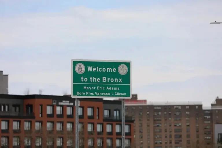 Your Goto Home Improvement Tips for Stylish Living in the Bronx